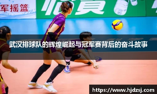 武汉排球队的辉煌崛起与冠军赛背后的奋斗故事